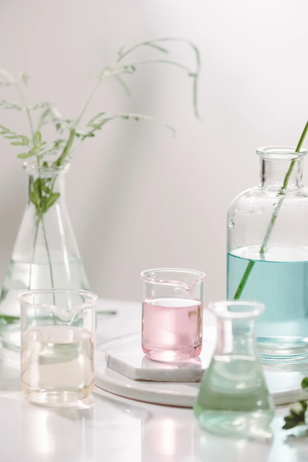 natural organic botany scientific glassware